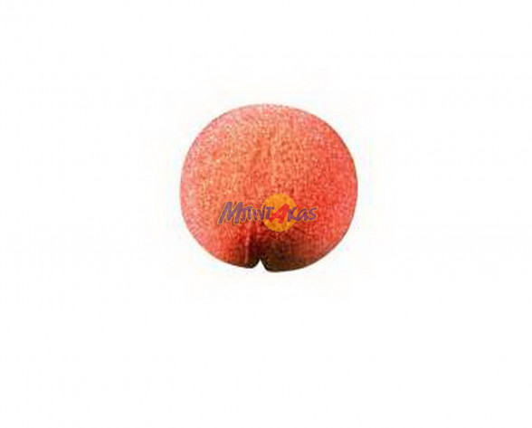 ΜΥΤΗ ΚΛΟΟΥΝ ΑΦΡΟΛΕΞ