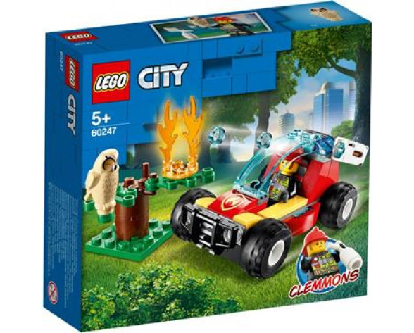 FOREST FIRE