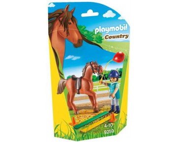 ΕΚΠΑΙΔΕΥΤΡΙΑ ΑΛΟΓΩΝ