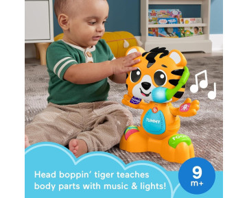 ΤΙΓΡΗΣ Ο ΤΡΑΓΟΥΔΙΣΤΟΥΛΗΣ