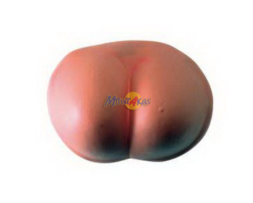 ΟΠΙΣΘΙΑ ΜΕΓΑΛΑ ΕΥΚΑΜΠΤΑ