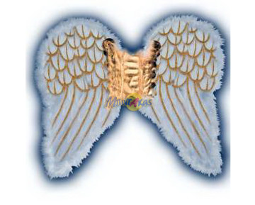 ΦΤΕΡΟ ΑΓΓΕΛΟΥ ΥΦ.ΠΑΙΔΙΚΟ ΜΕ ΜΑΡΑΜΠΟΥ 55*45