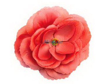 ΛΟΥΛΟΥΔΙ ΣΠΑΝΙΟΛΑΣ ΜΕ ΚΛΙΠΑΚΙ