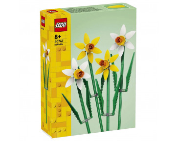 DAFFODILS